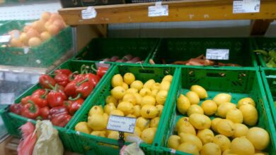 Сколько денег тратится на продукты в Болгарии