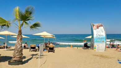 Обзор за и против отдыха