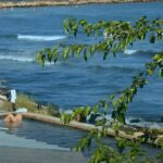 Відпочинок у Варні у 2023